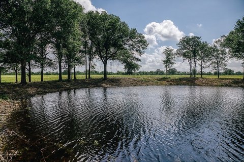 Working Ranch with Live-Water Creek