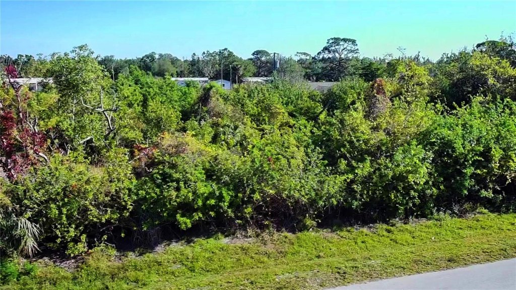 Picture 8