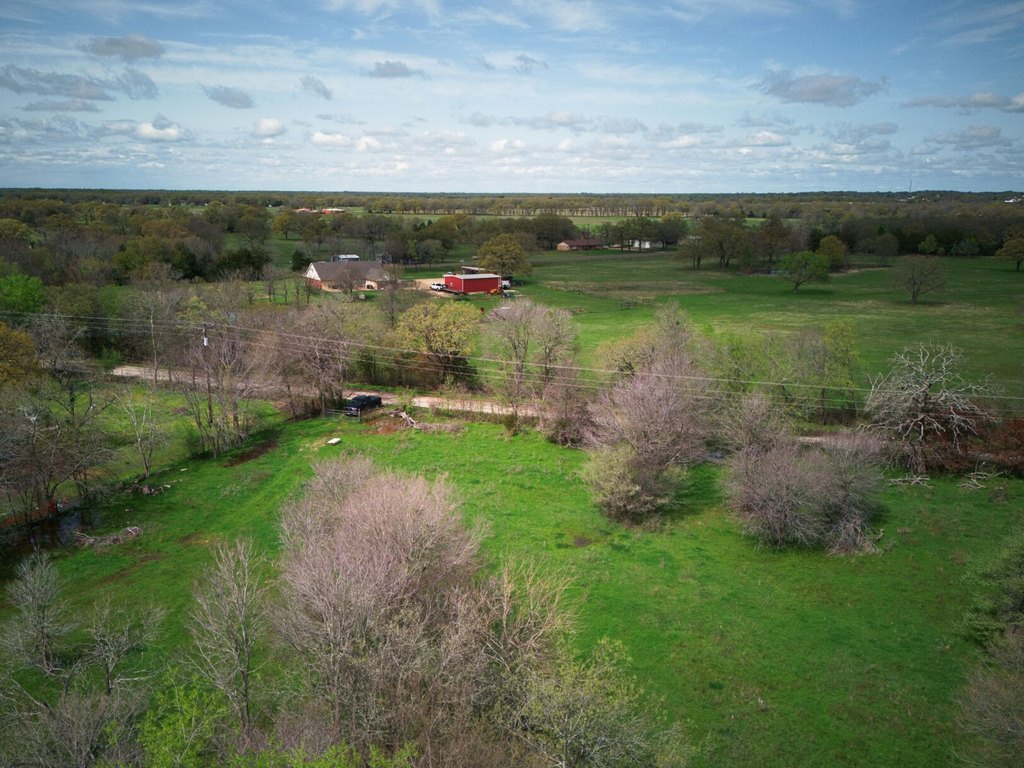 Picture 9