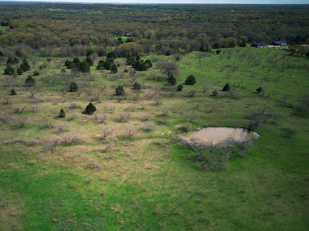 Picture 25