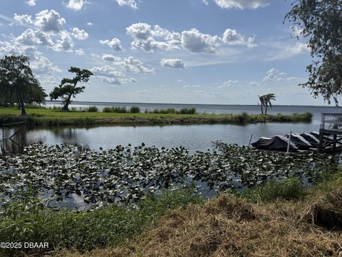 Oviedo Wooded Land Parcel
