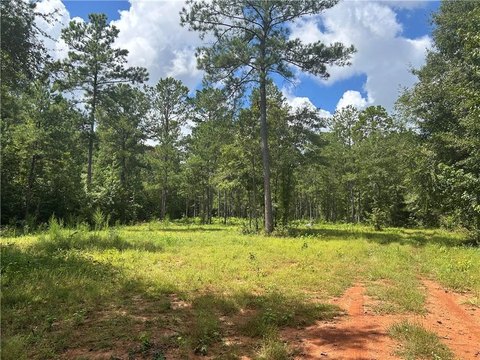 Land/Farms, CUSSETA, AL