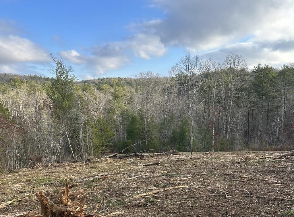 Cleared Mountain View Lot