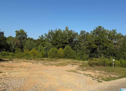 LAND/LOTS, HOOVER, AL