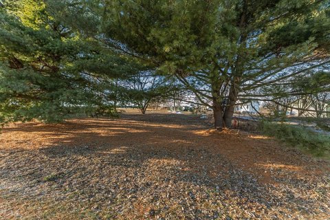 Buildable Single-Family Lot