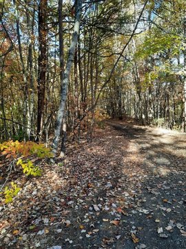 Whittier, NC Mountain View Lot