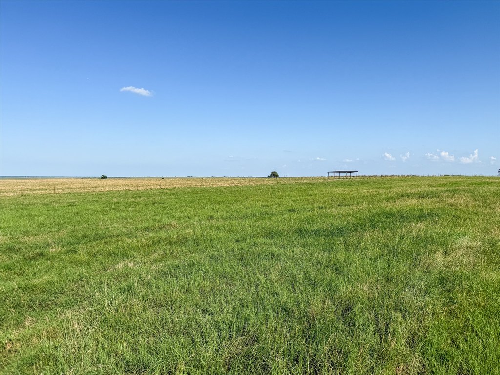 Picture 20