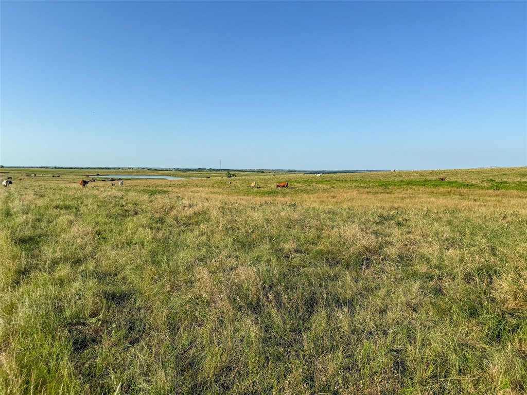 Picture 32