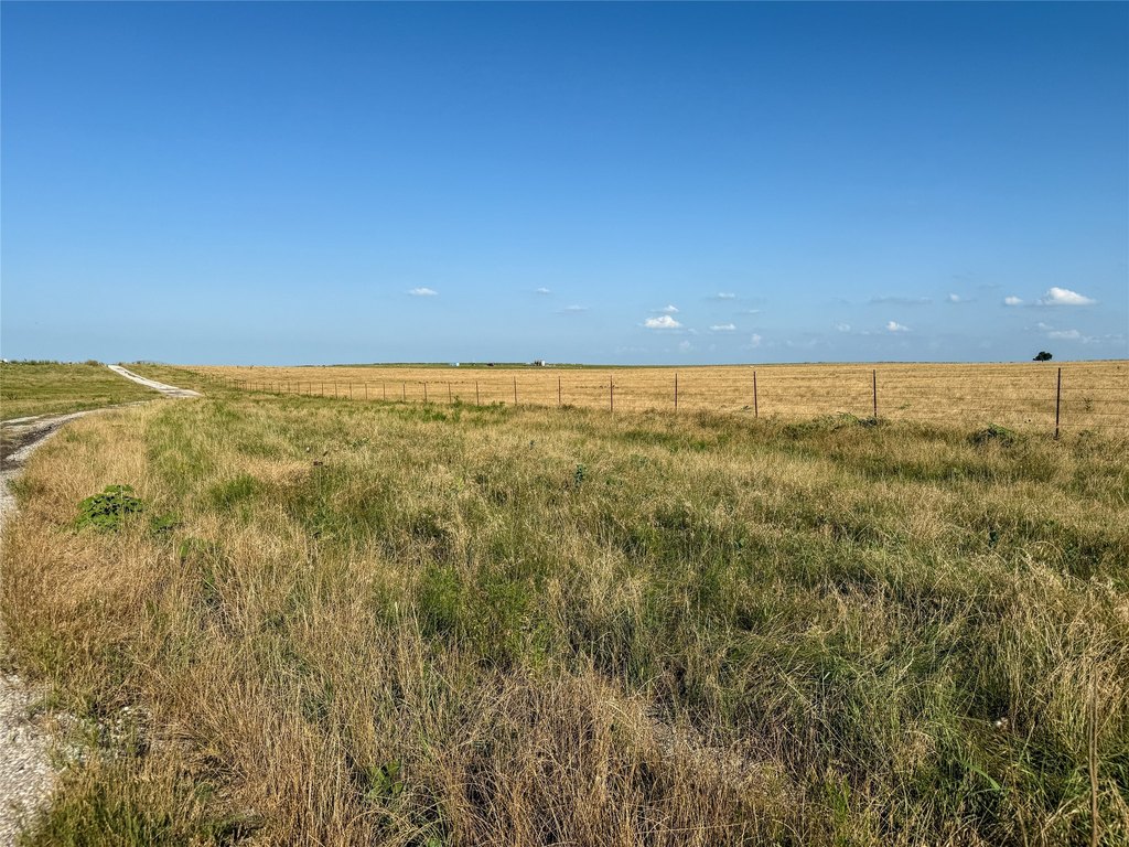 Picture 26