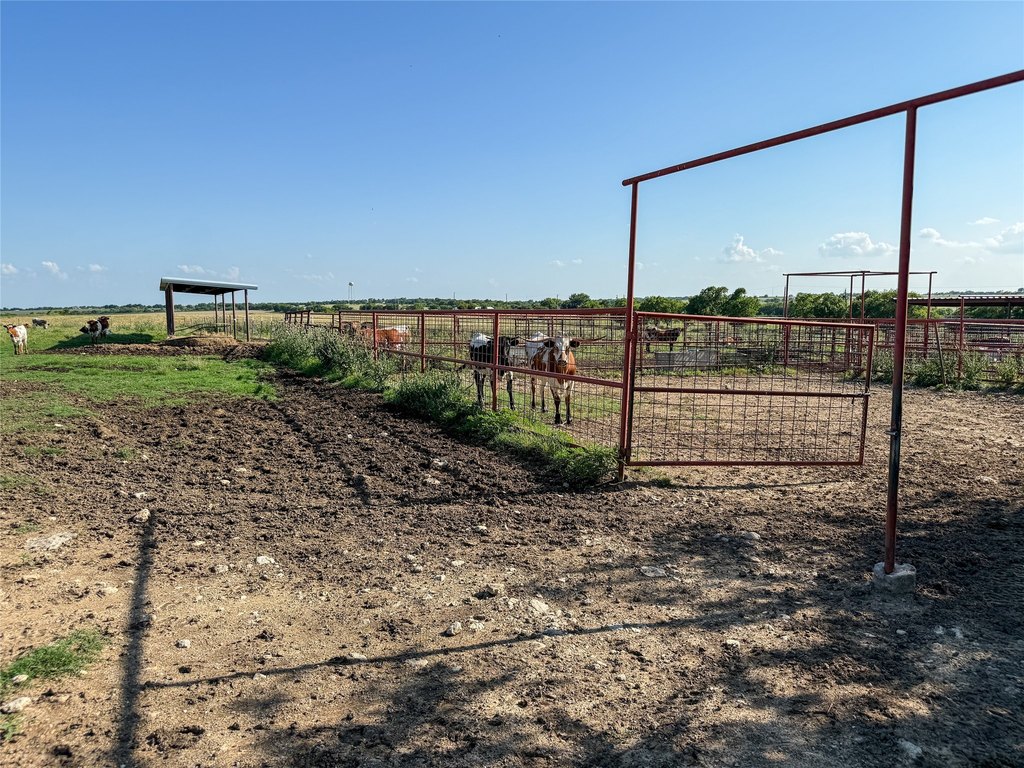 Picture 21