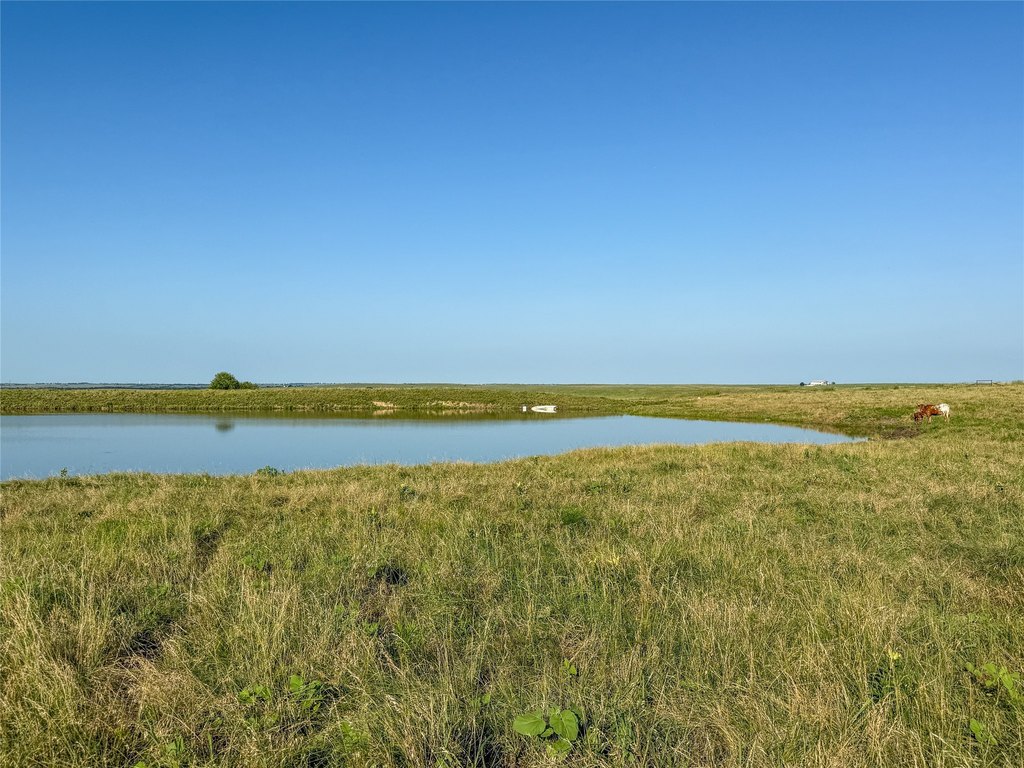 Picture 30