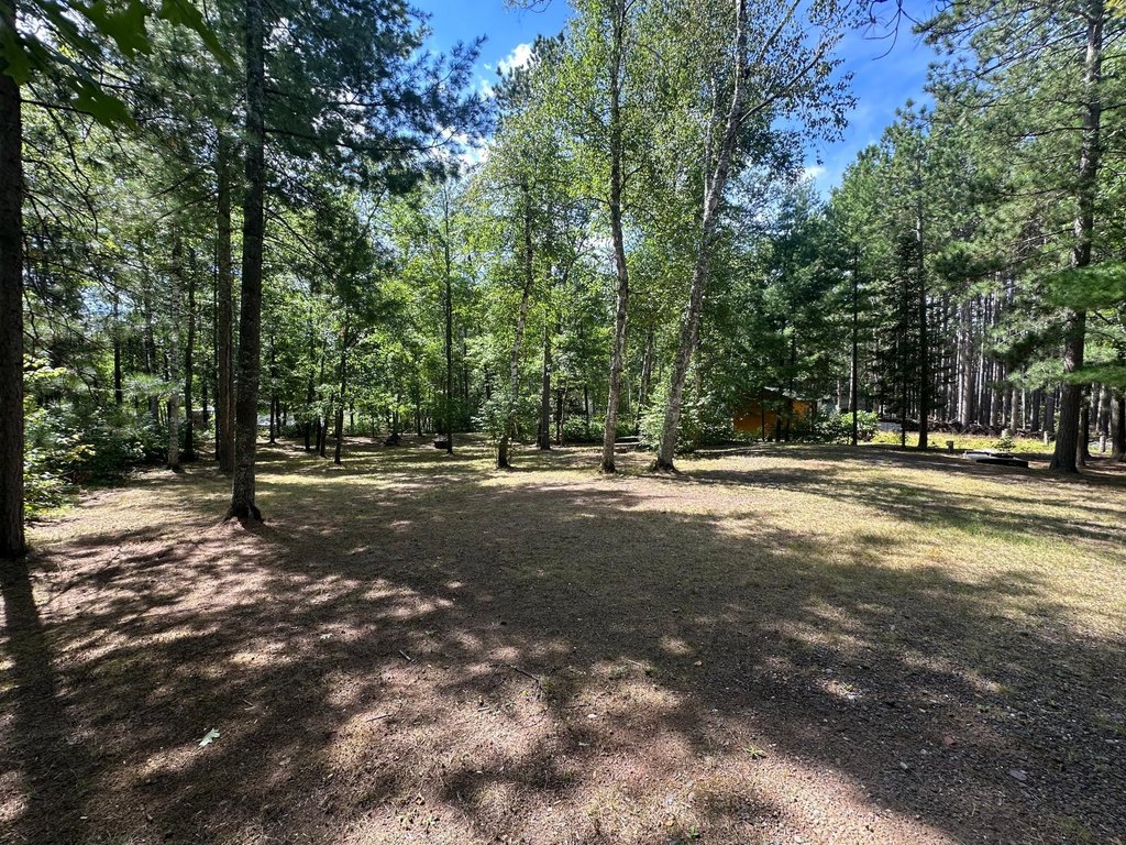 Picture 8