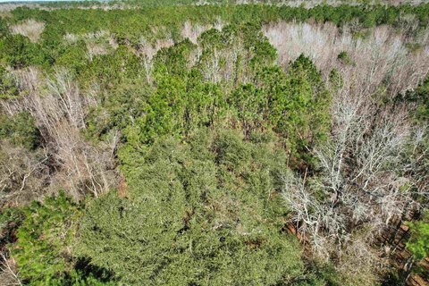LAND - Greenville, FL