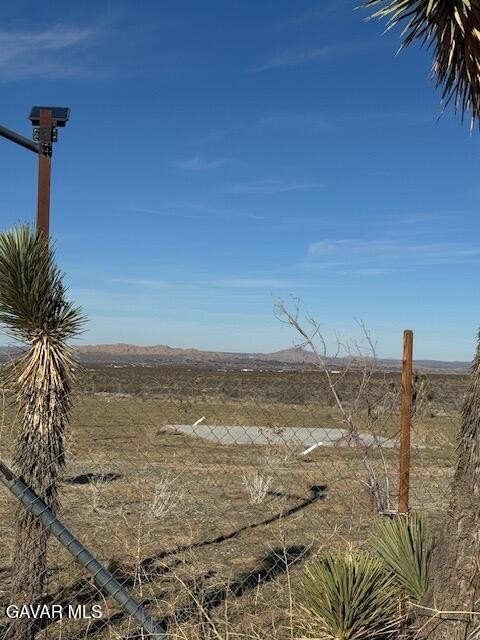 Picture 19