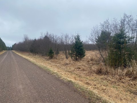80 Acres in Ogema, WI