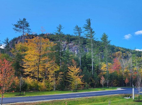 Conway Land with Brook Frontage