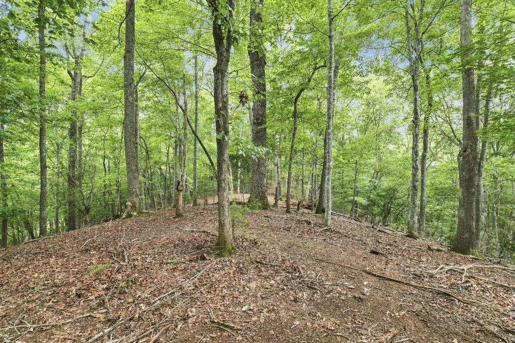 Picture 30