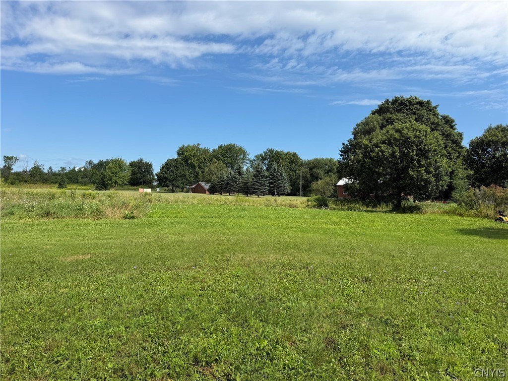 Picture 6