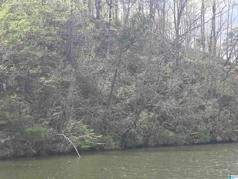 LAND - ROCKFORD, AL
