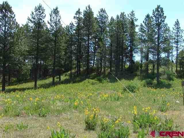 Land For Sale, Pagosa Springs