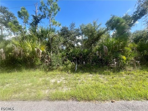 LAND - Port Charlotte, FL