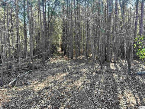 Recreational Timber Tract with Lanes