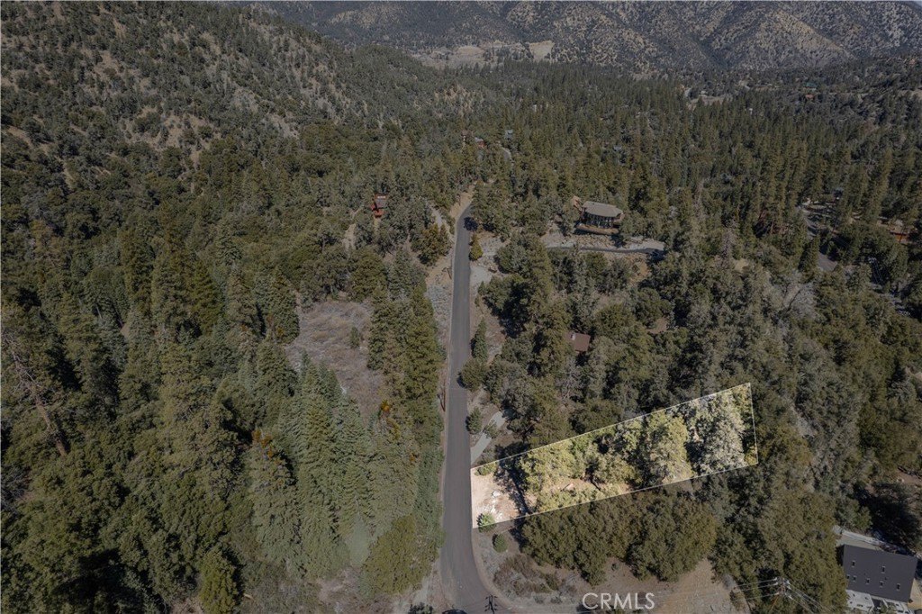 Picture 16