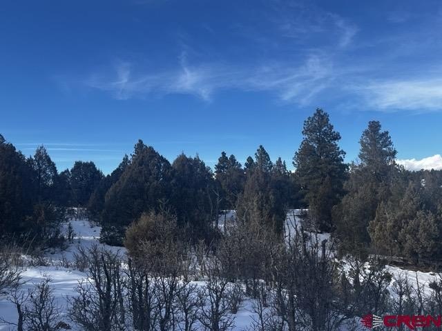 Picture 21