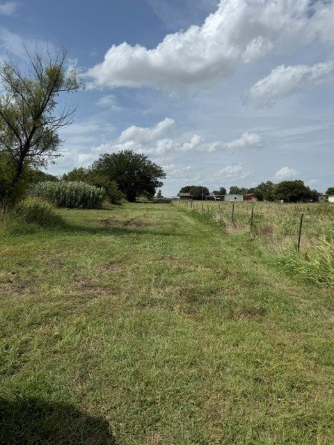 Picture 4