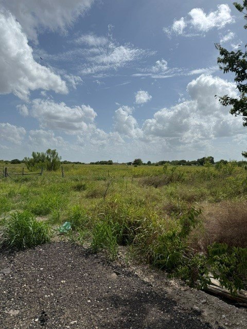 Picture 5