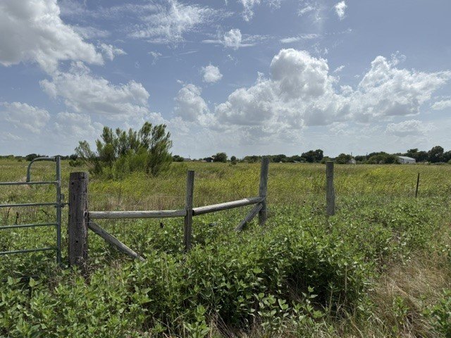 Picture 6