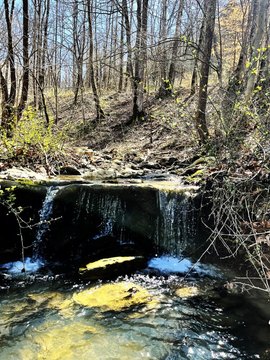 Hunting and Recreation Land Tract