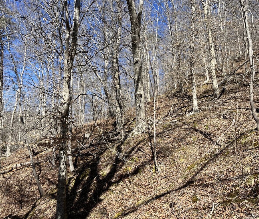 Picture 6