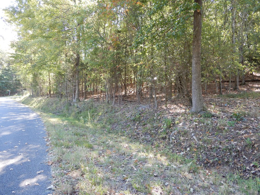 Picture 4