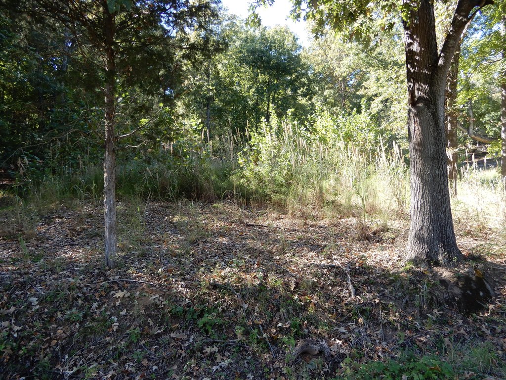 Picture 3