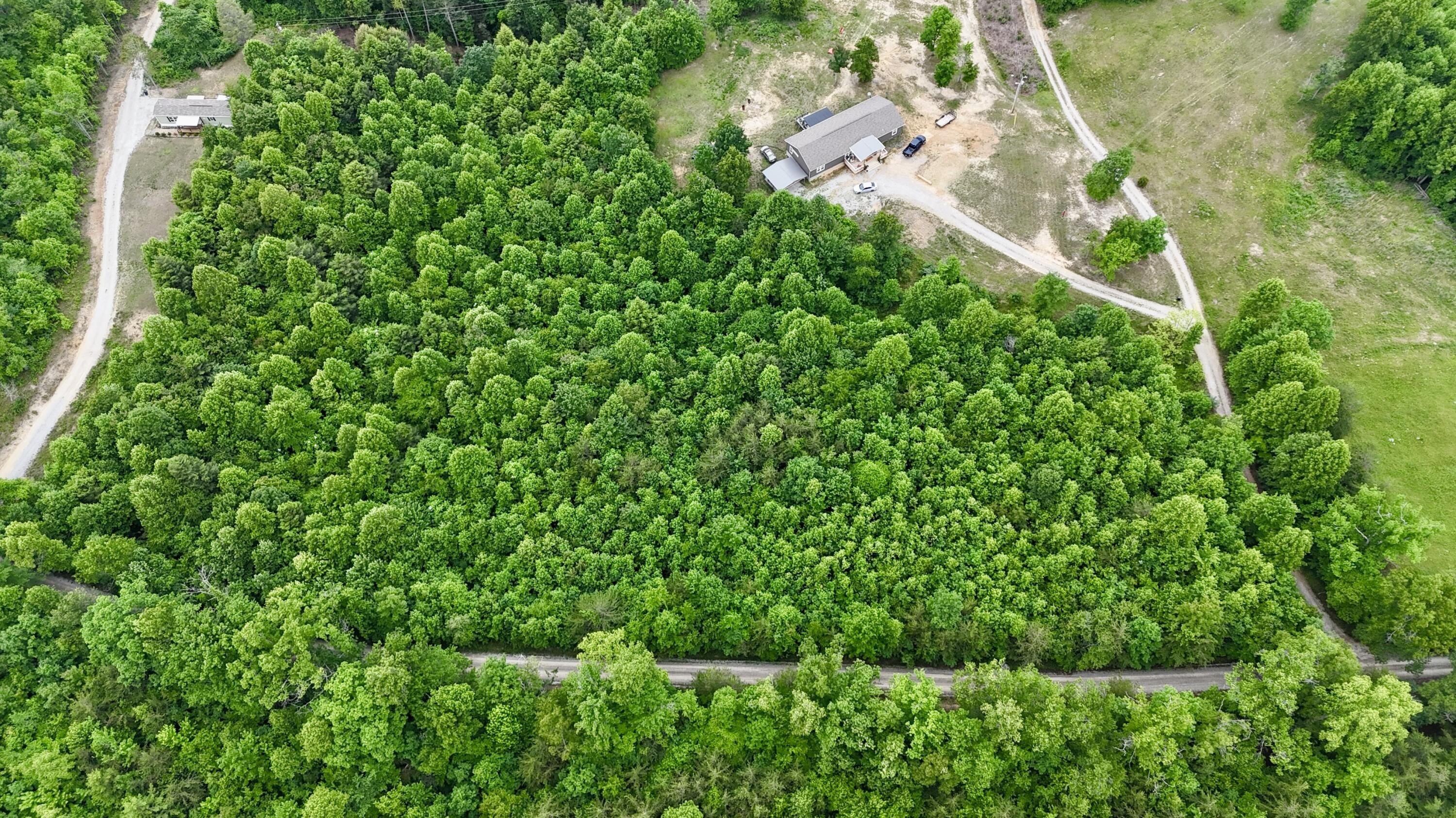 Wooded Land Near National Forest