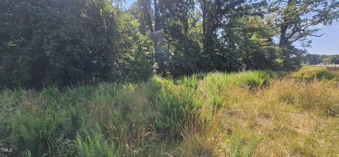 Forsyth County Land Auction Opportunity