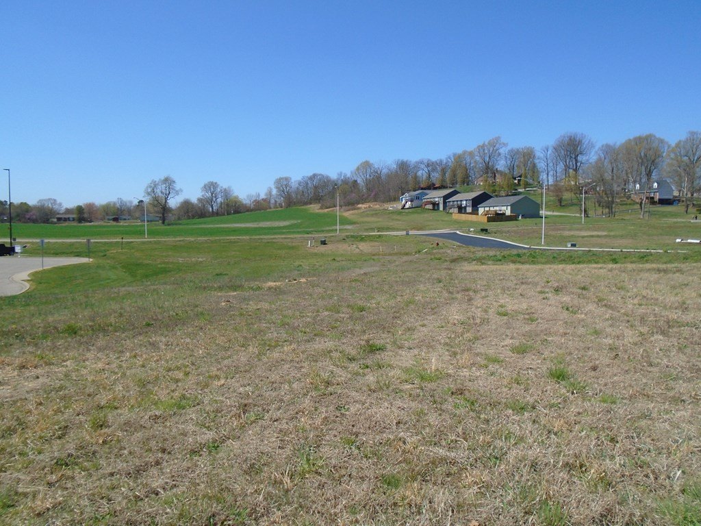 Picture 12