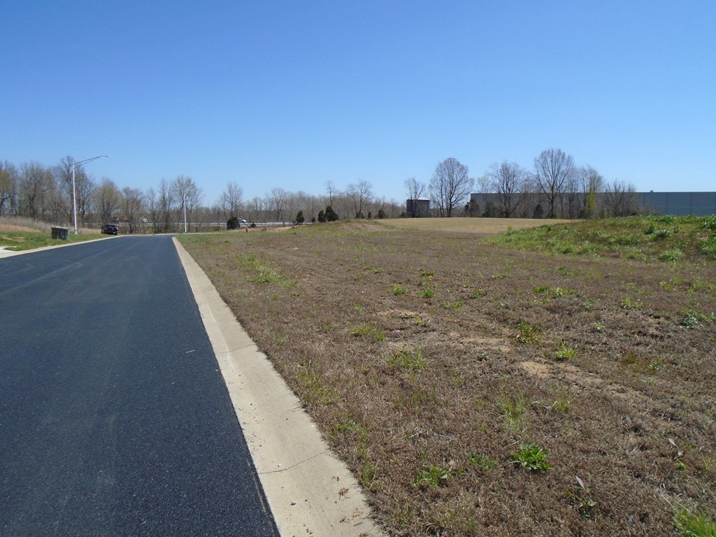 Picture 6