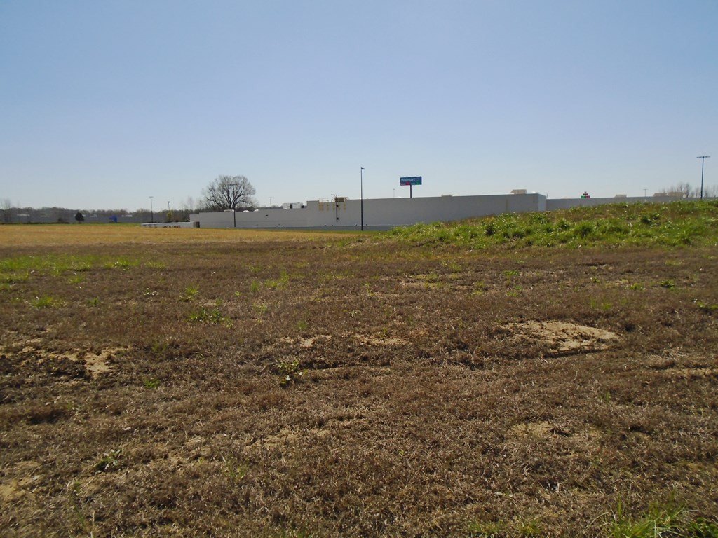 Picture 13