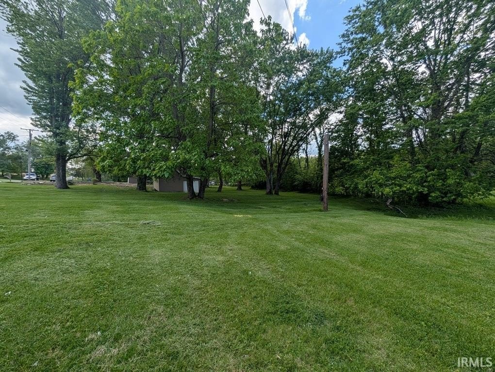 Picture 6