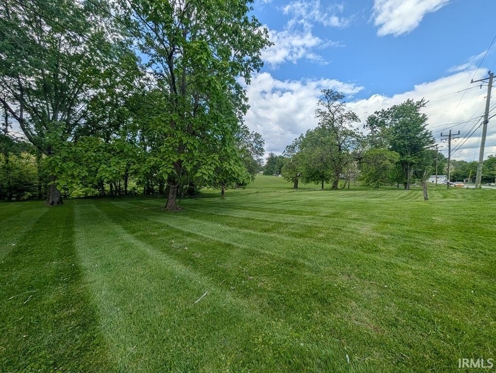 Picture 5