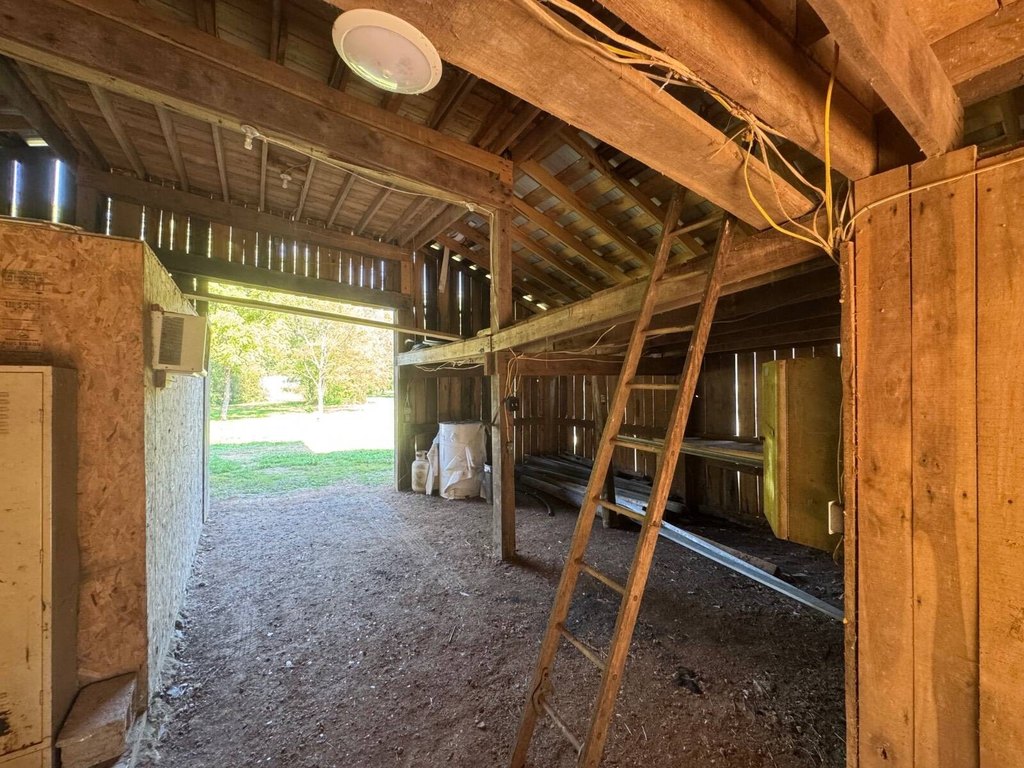Picture 6