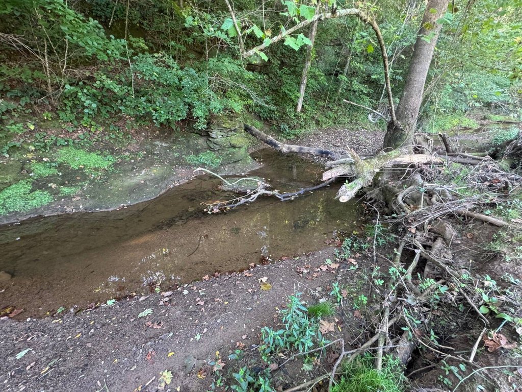 Picture 21