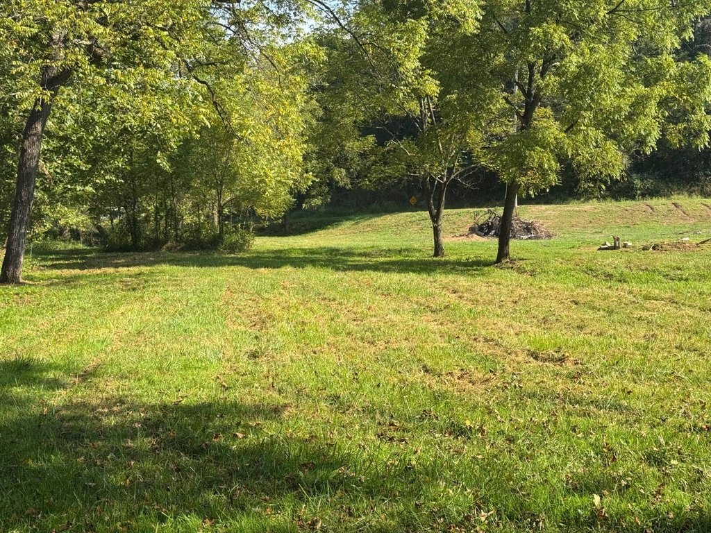 Picture 36
