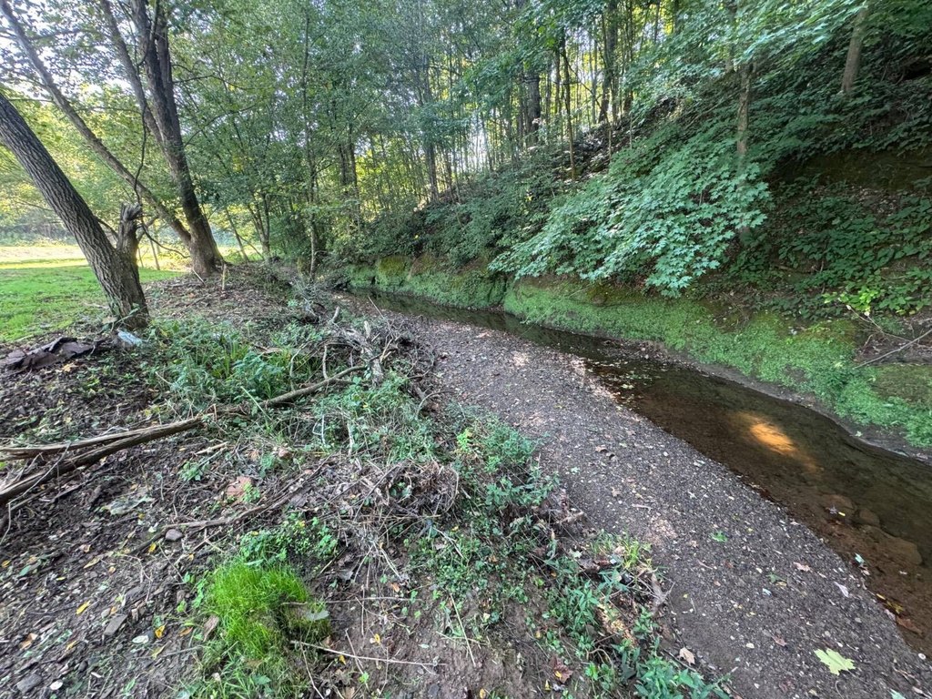Picture 23