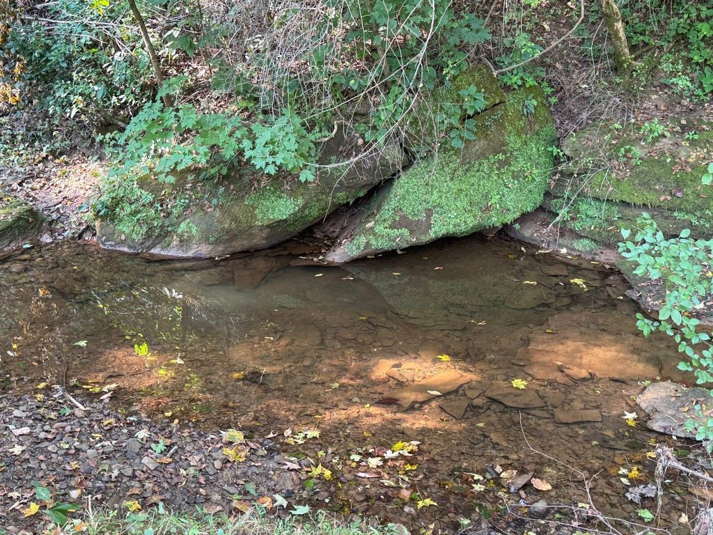 Picture 22