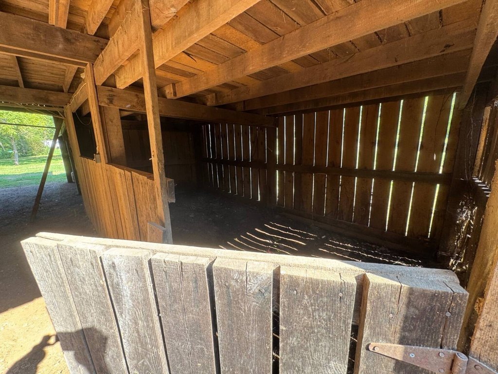 Picture 7