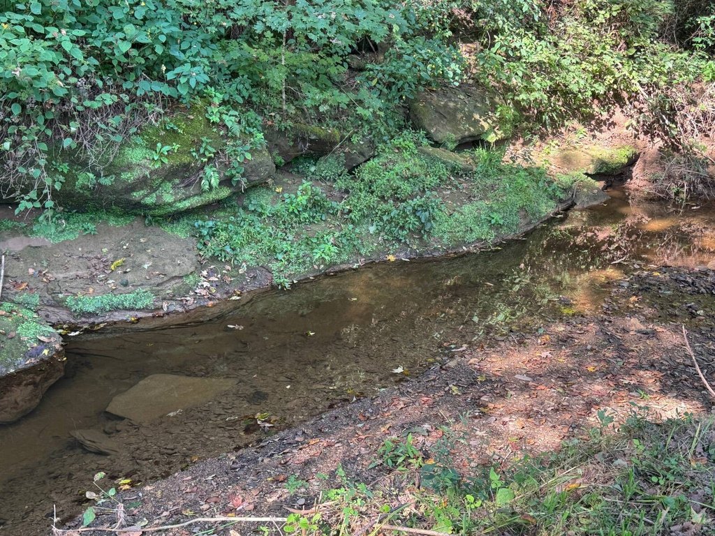 Picture 25