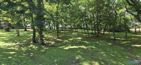 Land, Rainsville, AL